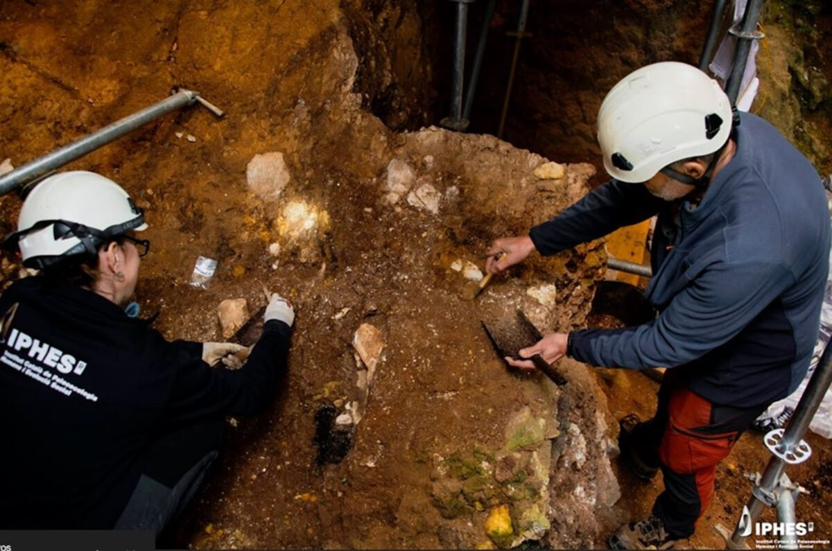 El Homo sapiens podría descender de dos especies humanas antiguas: qué significa esto