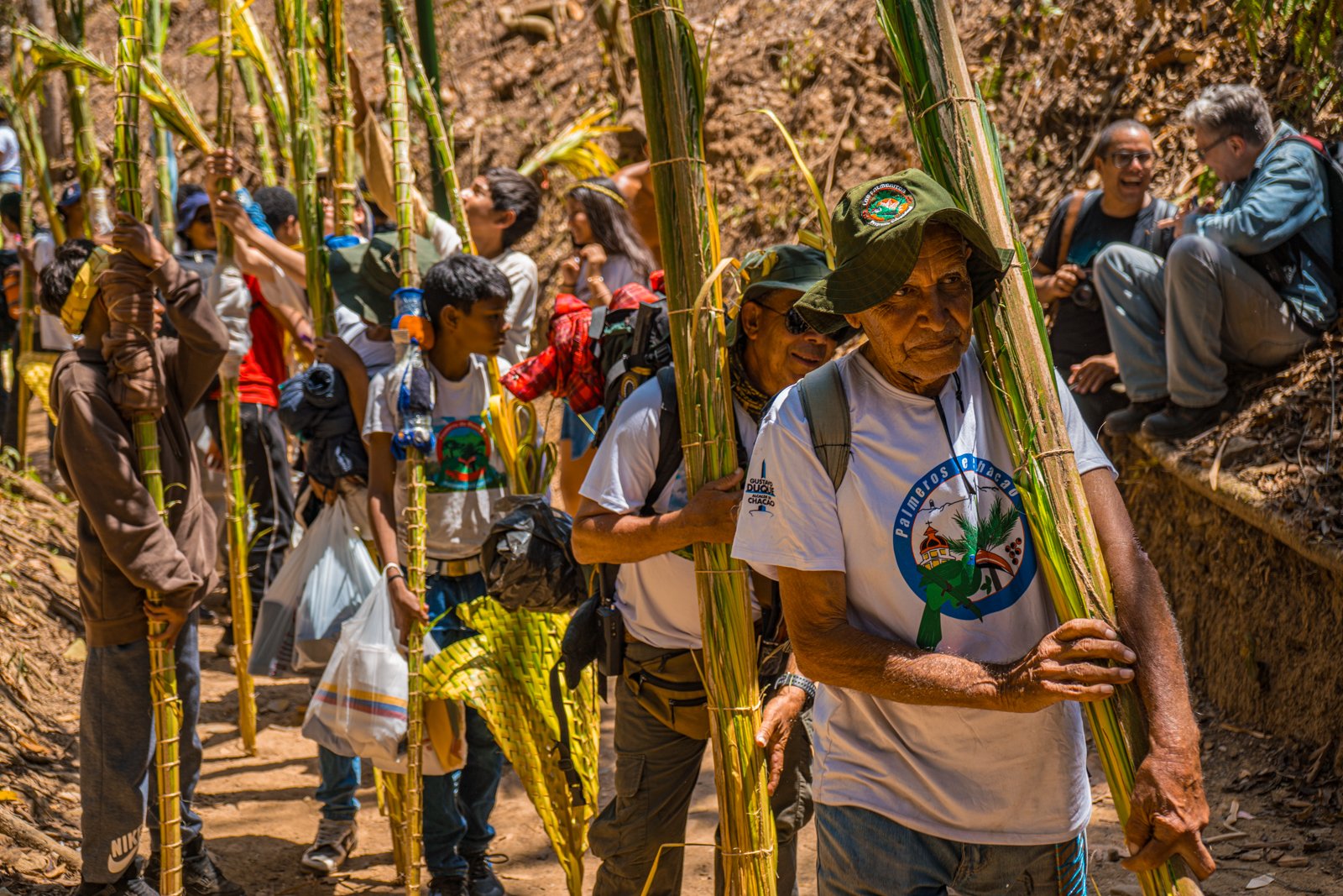 “Que la palma te acompañe”: la tradición de Chacao que perdura en el tiempo