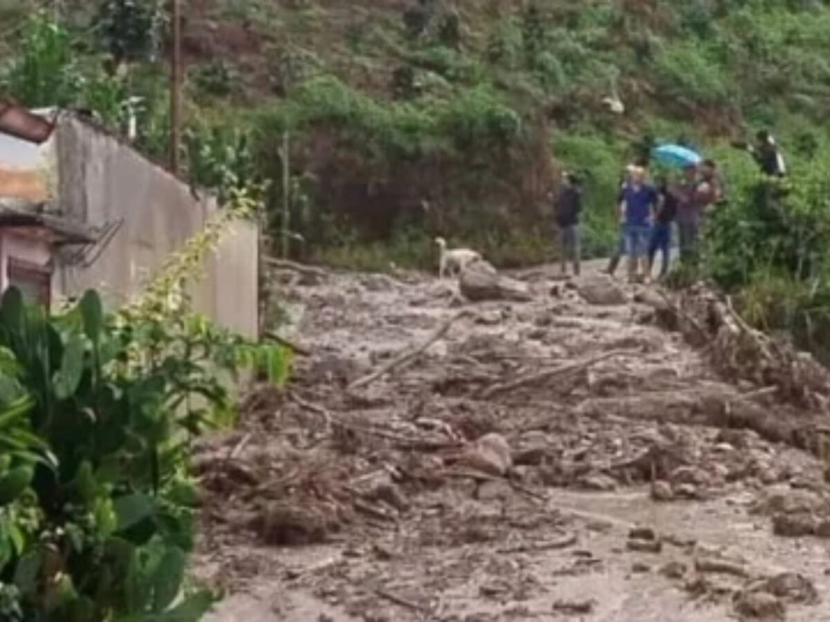Lluvias causaron daños en varios estados del país 