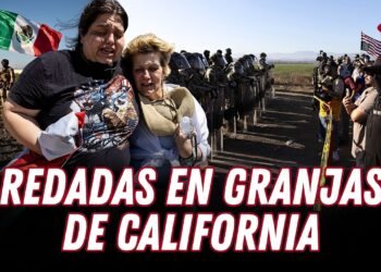 Muere un trabajador tras una redada masiva contra inmigrantes en granjas de cannabis en California