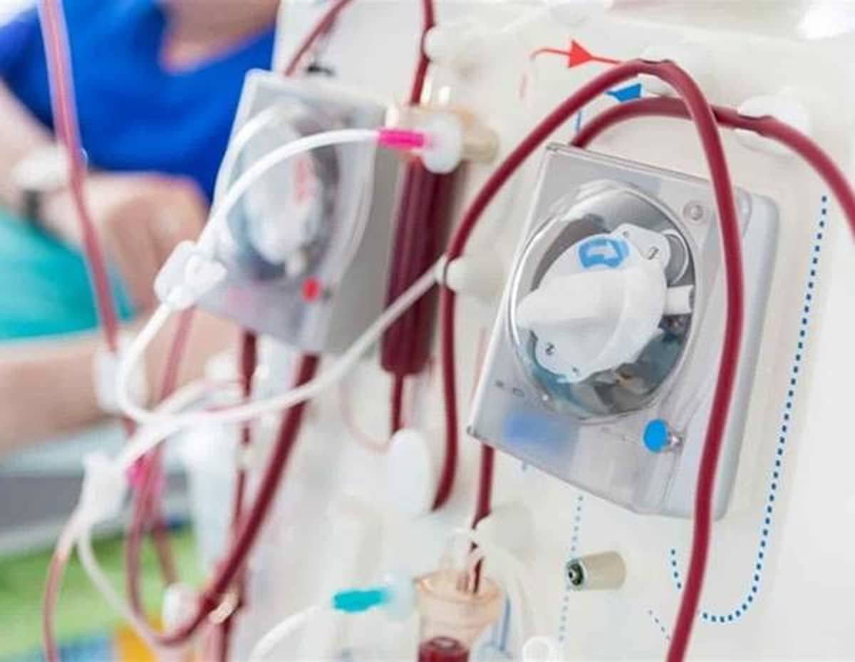 Enfermedades comunes de los riñones: síntomas y tratamiento