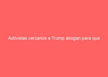 Activistas cercanos a Trump abogan para que declare una emergencia nacional que le daría poderes extraordinarios de cara a las elecciones