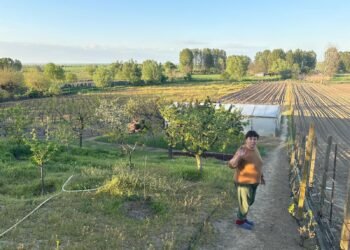 Los drones rusos espolean el miedo en los pueblos fronterizos de Rumania: “Vivimos con la guerra sobre nuestras cabezas”