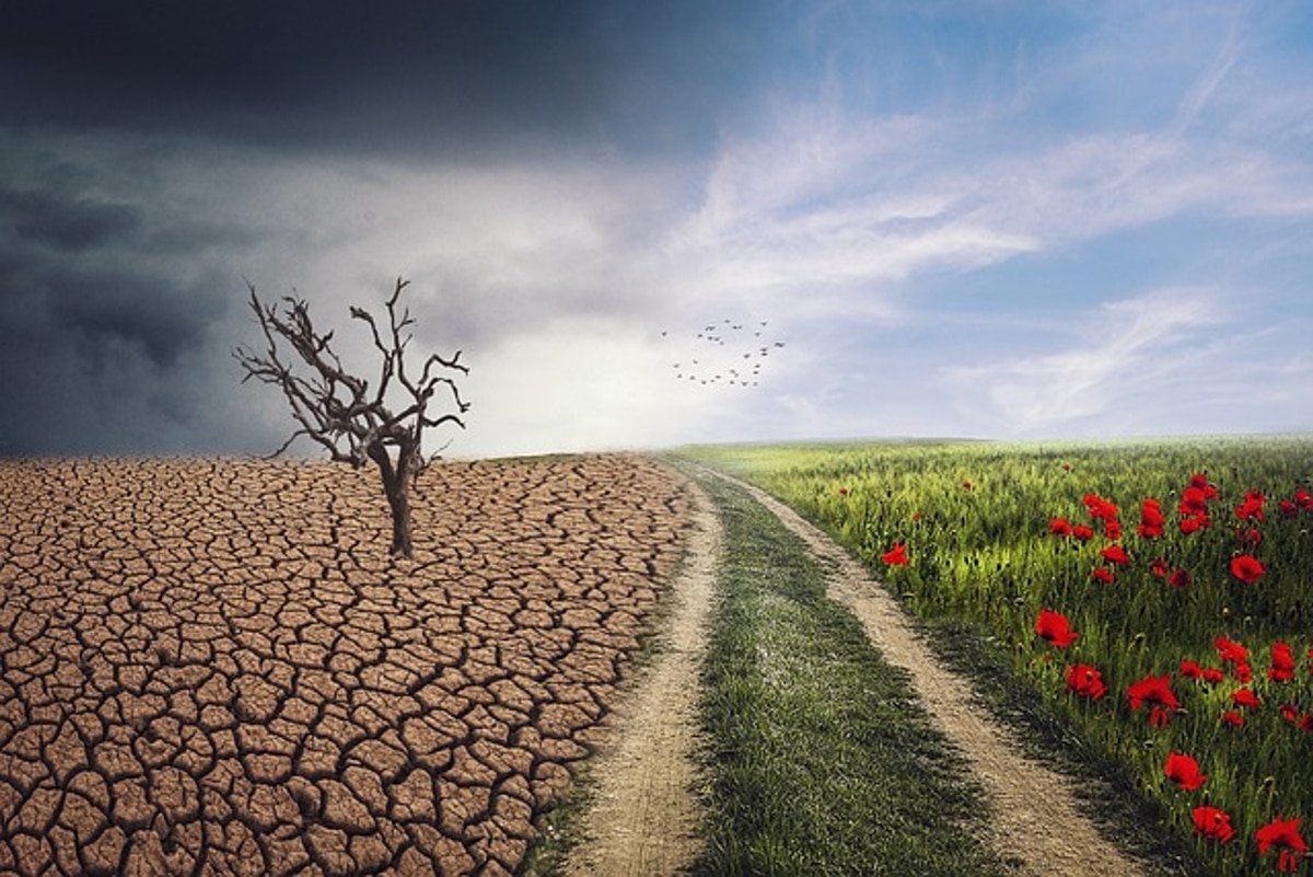 TeExplicamos | Consecuencias del cambio climático en el medio ambiente
